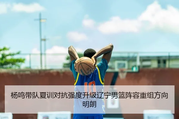 杨鸣带队夏训对抗强度升级辽宁男篮阵容重组方向明朗